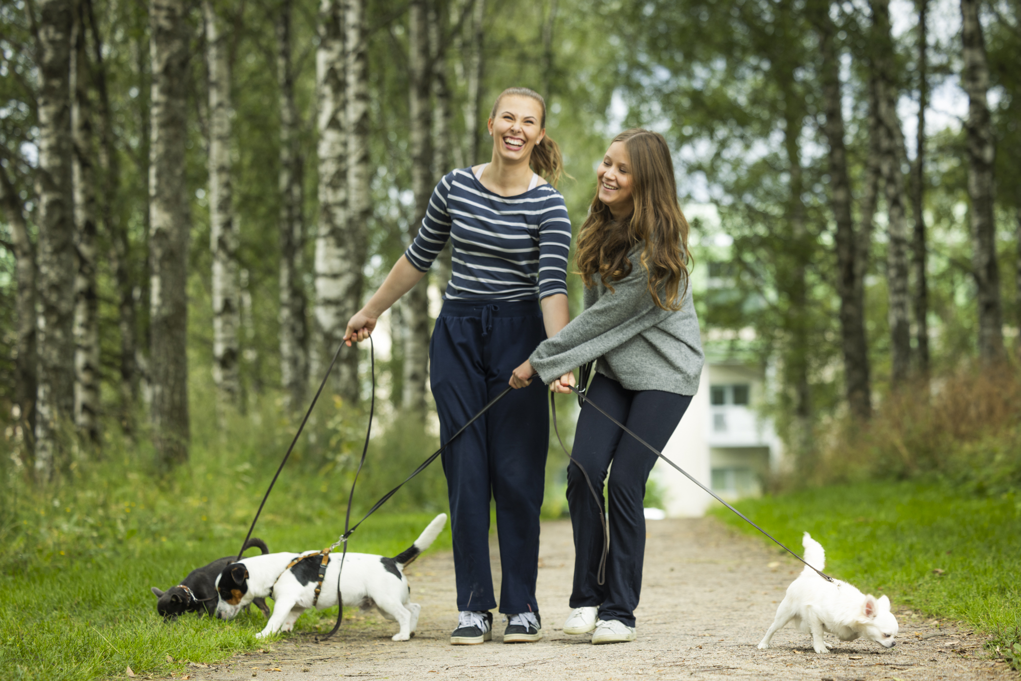 Kennelliitto_Brändikuvat2025-WEB-43